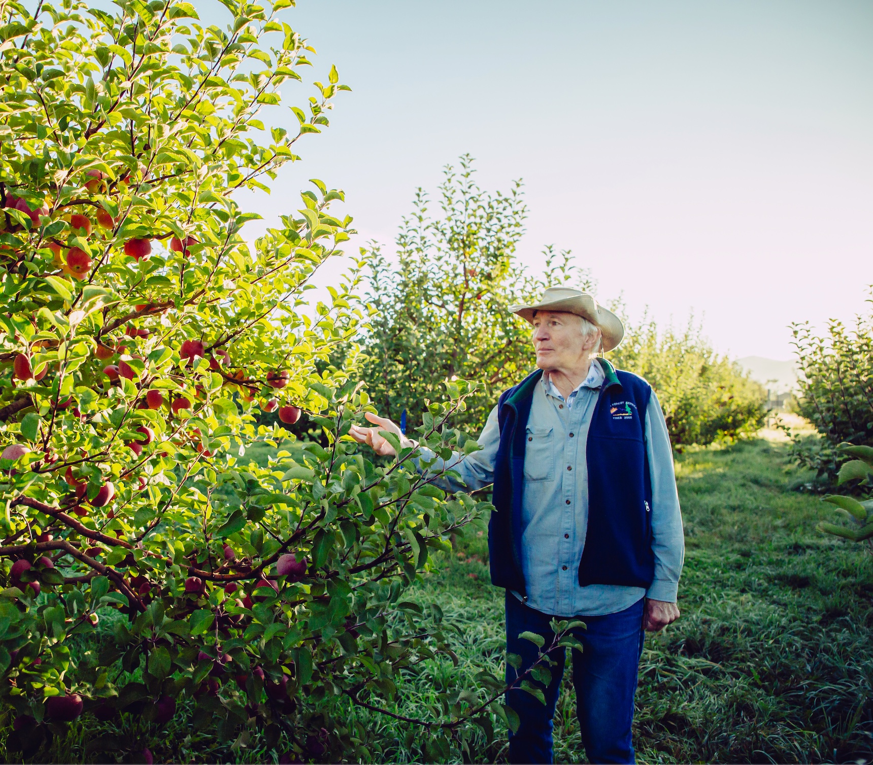 Orchard Pruning: Demo & Community Workshop